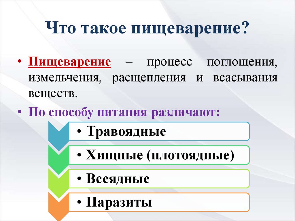 По способу различают. Пищеварение. Способы пищеварения. Что такое пищеварение 3 класс ответы. Методы переваривания.