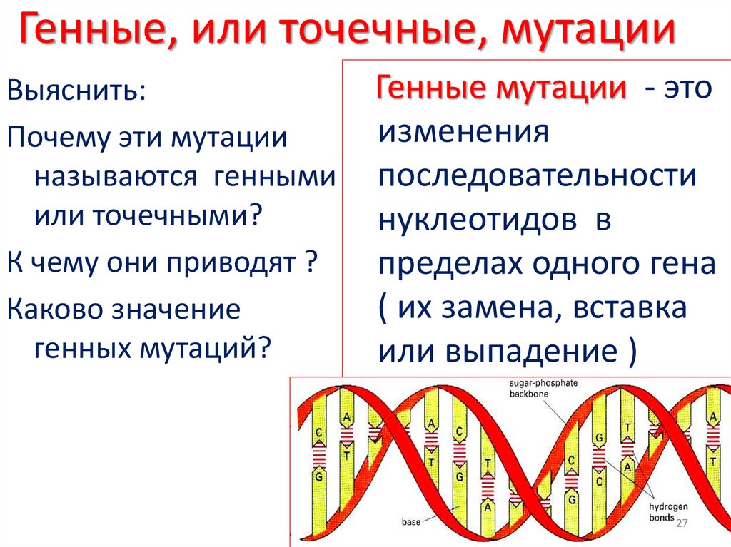 Генетический примеры