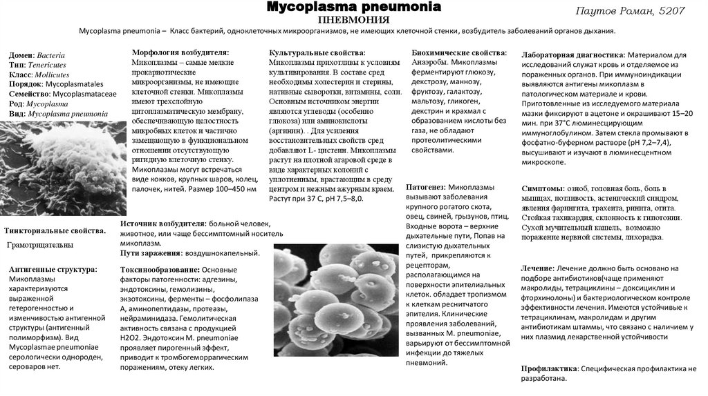Пневмония. Mycoplasma pneumonia - презентация онлайн