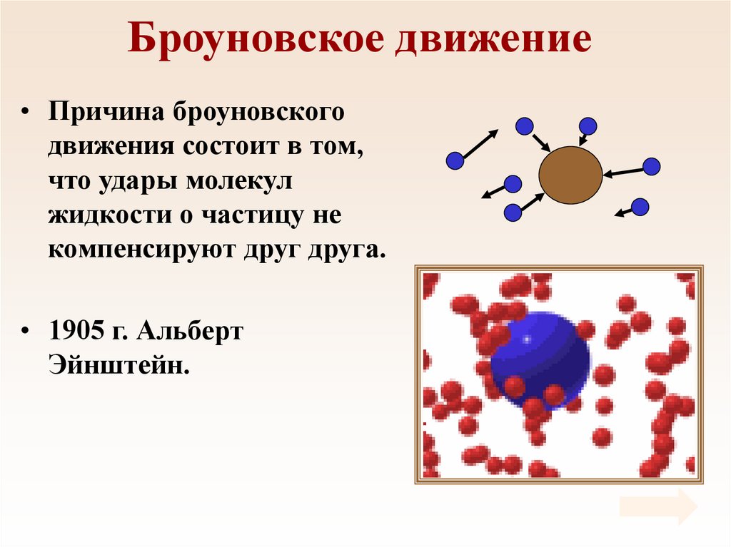 Броуновское движение просто. Броуновское движение. Броуновское движение в театре.