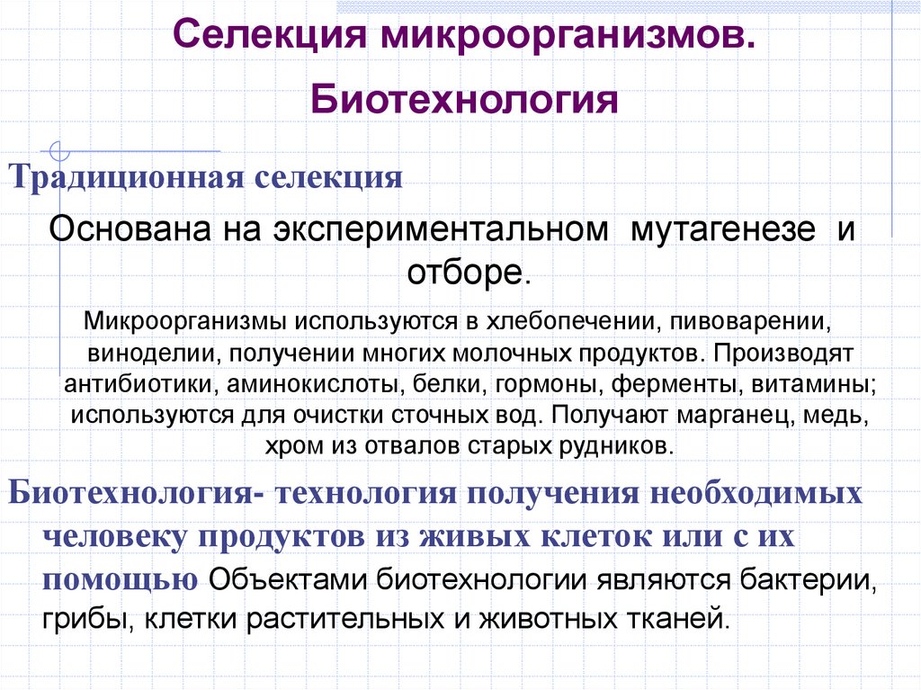 Селекция и биотехнология презентация