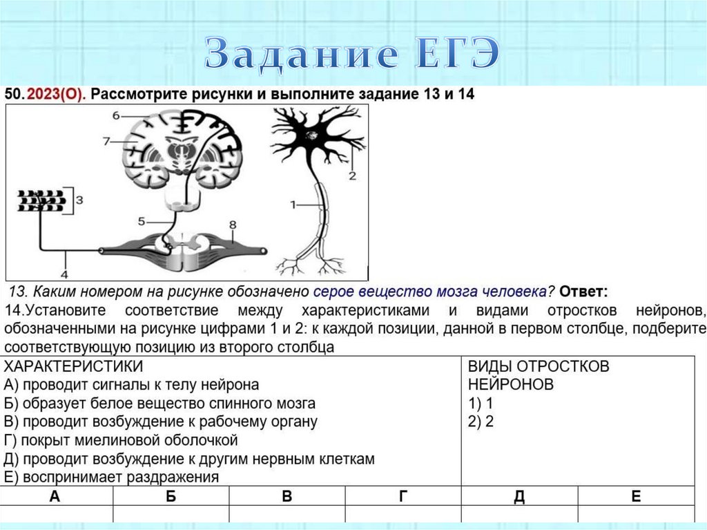 Задание ЕГЭ