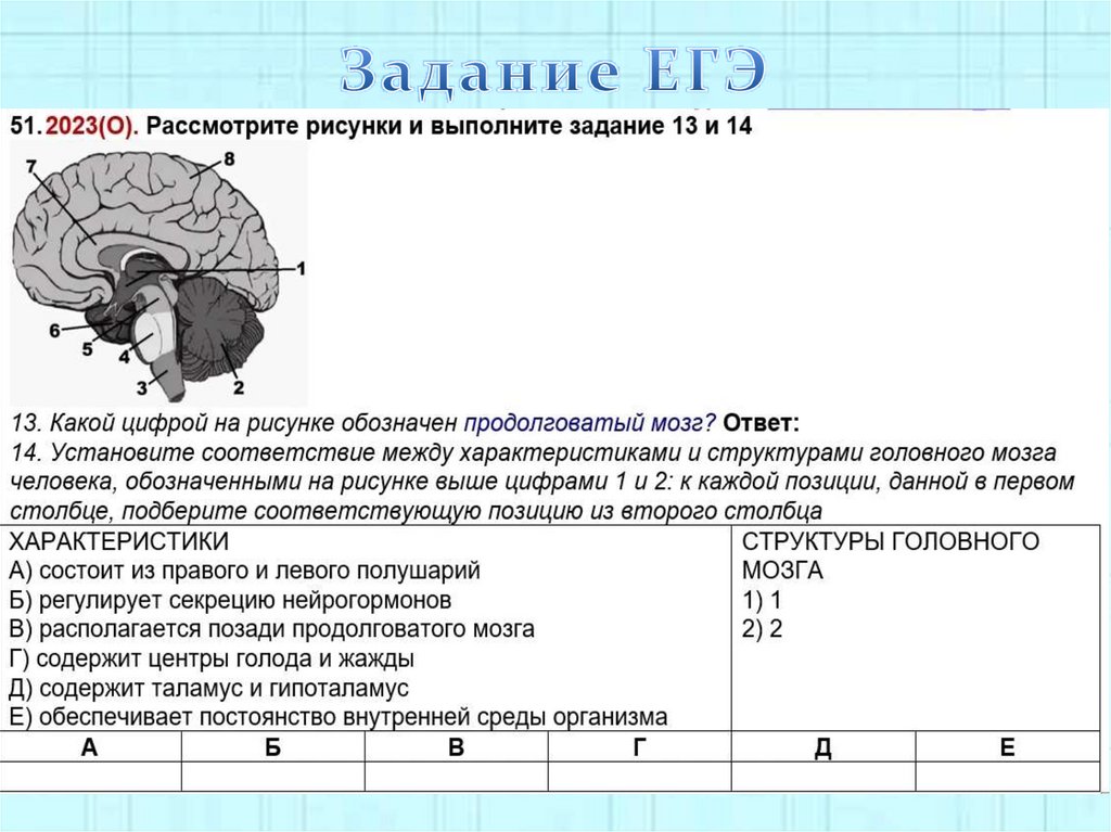 Задание ЕГЭ