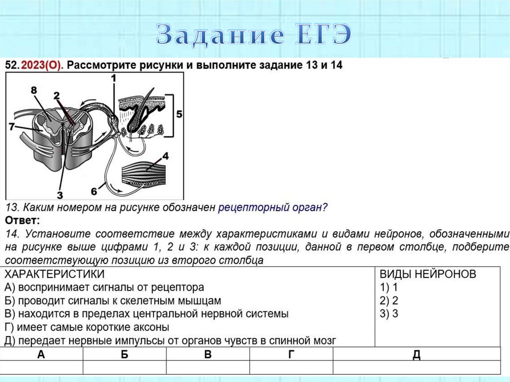 Задание ЕГЭ