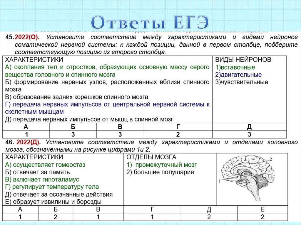 Ответы ЕГЭ