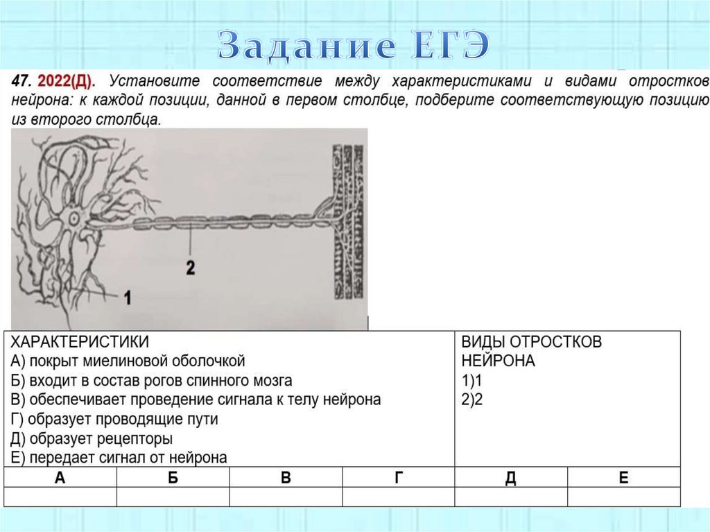 Задание ЕГЭ