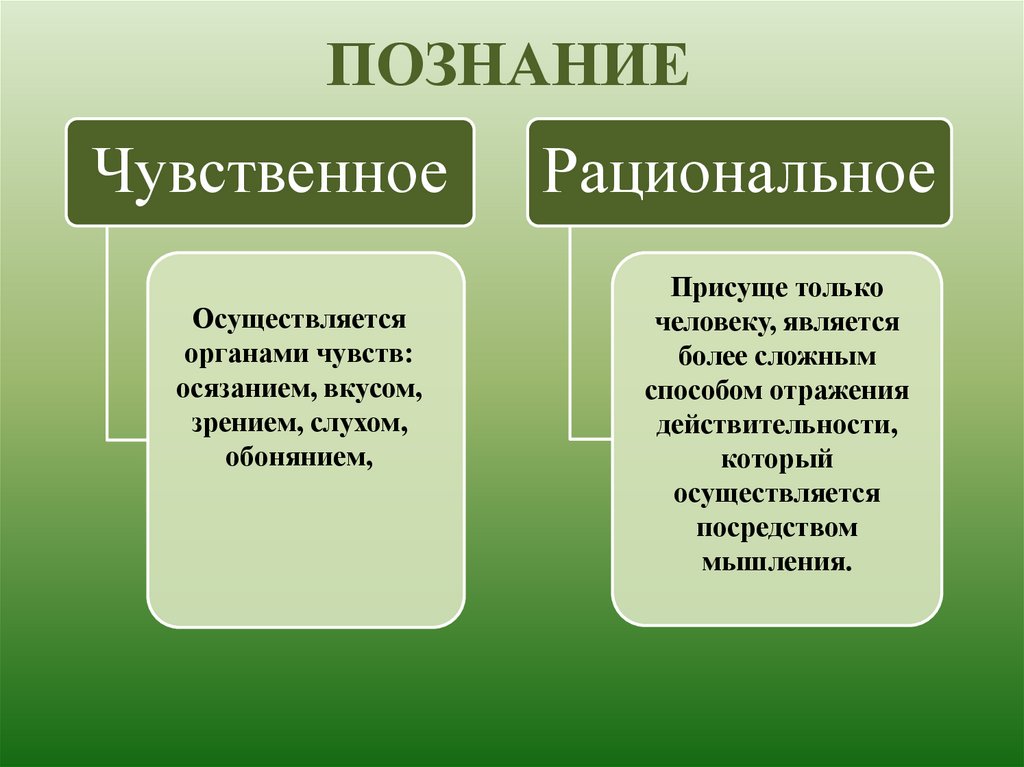 Когнитивные ощущения. Познание мира формы познания. Познание мира человеком формы познания. Чувственное и рациональное Познан е. Чувственное познание это в обществознании.