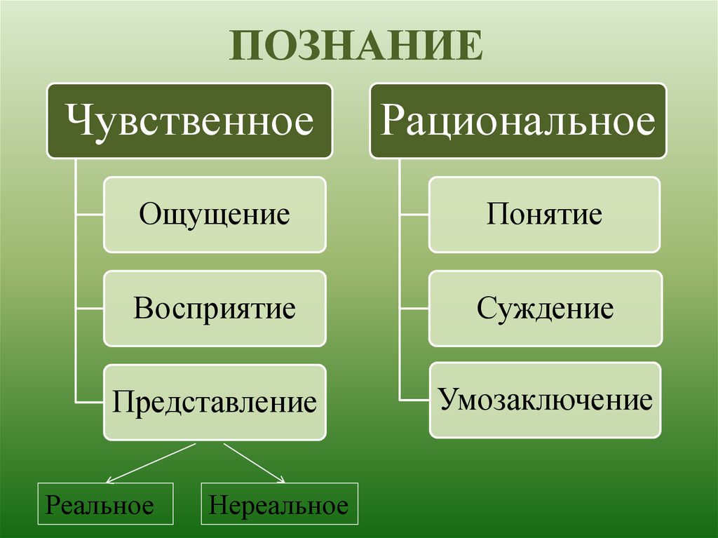 Чувственное познание картинки