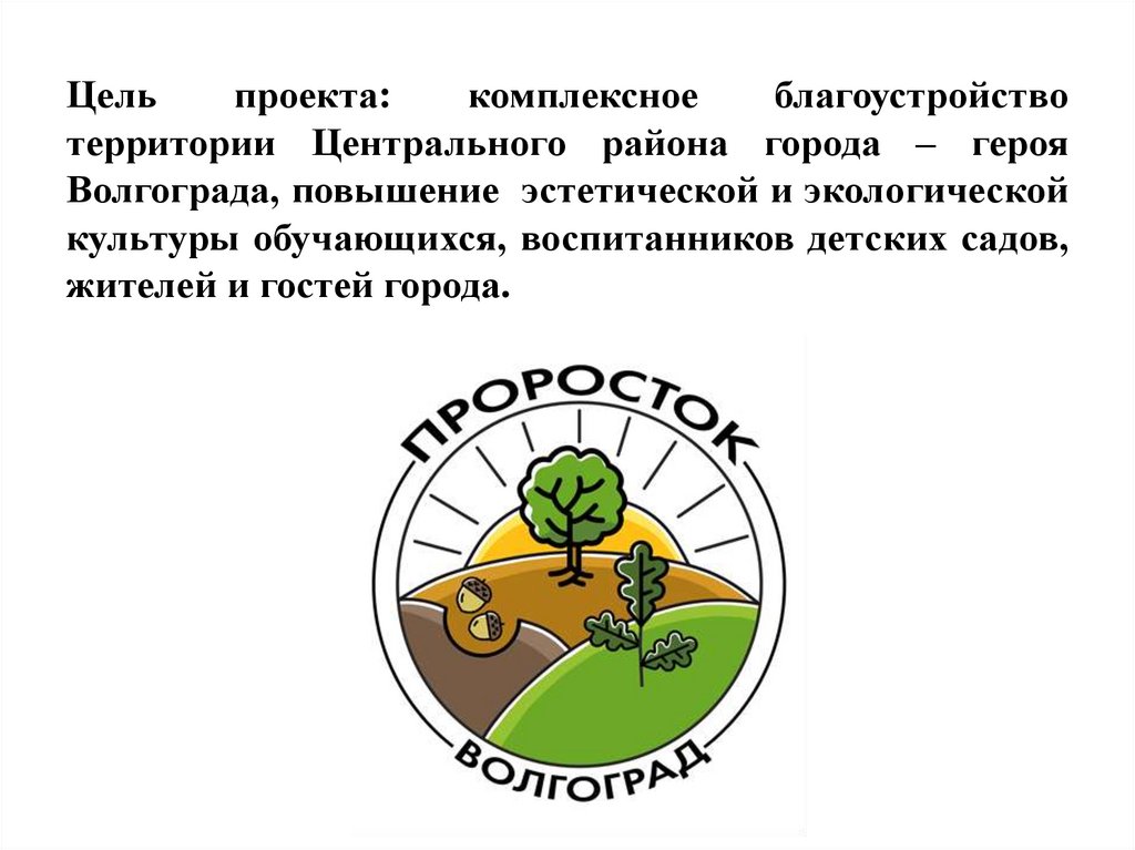 Реализация городского экологического проекта «Проросток» в ...
