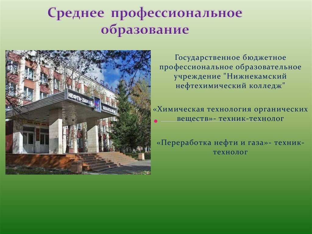 Бюджетное профессиональное образовательное. Нефтехимический колледж Нижнекамск. Тема презентации про учебные заведения. Проект на тему учебные заведения. Нефтехимический колледж Рязань.