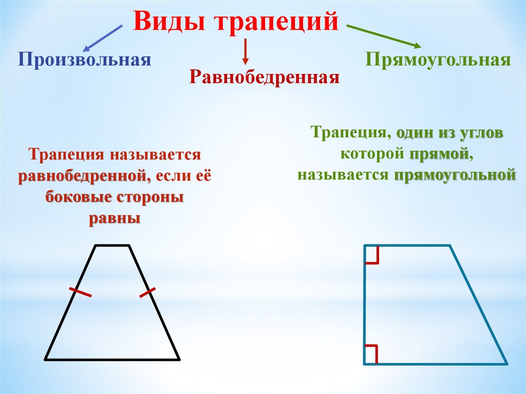 Свойства и виды трапеции