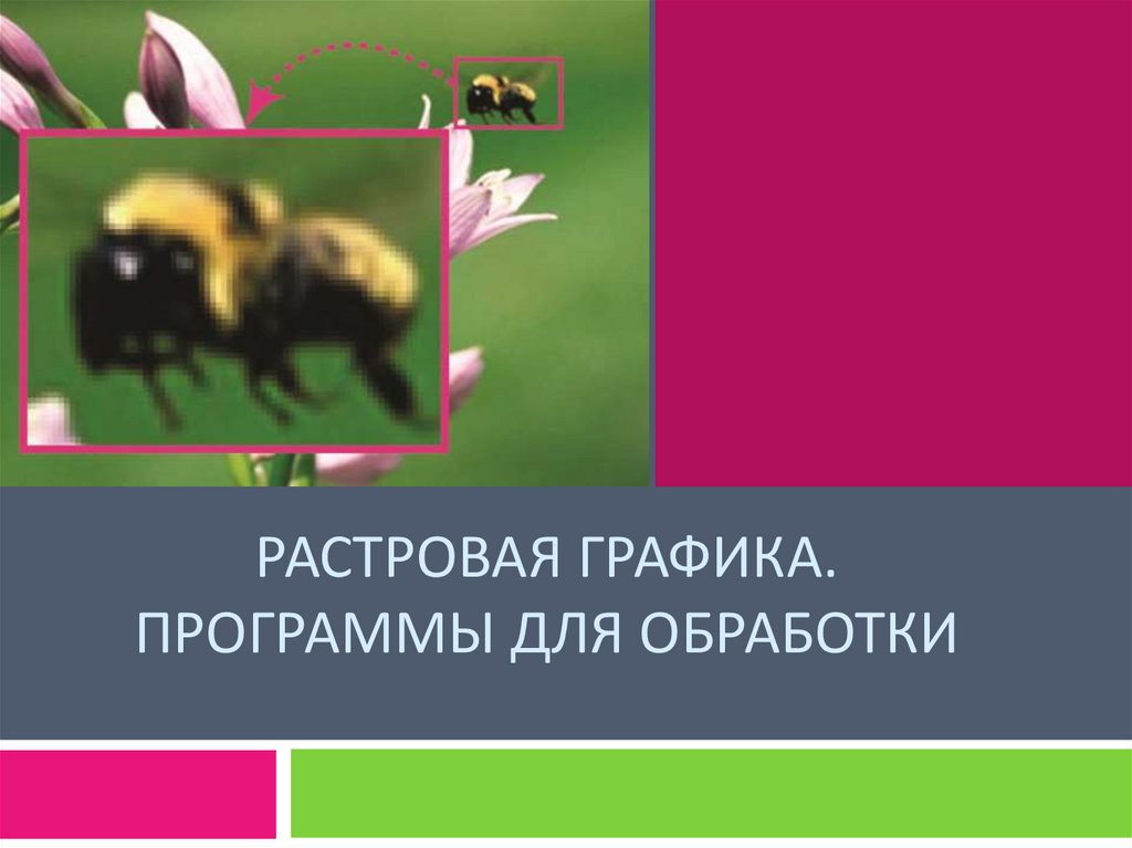Растровая графика. Программы для обработки - презентация онлайн