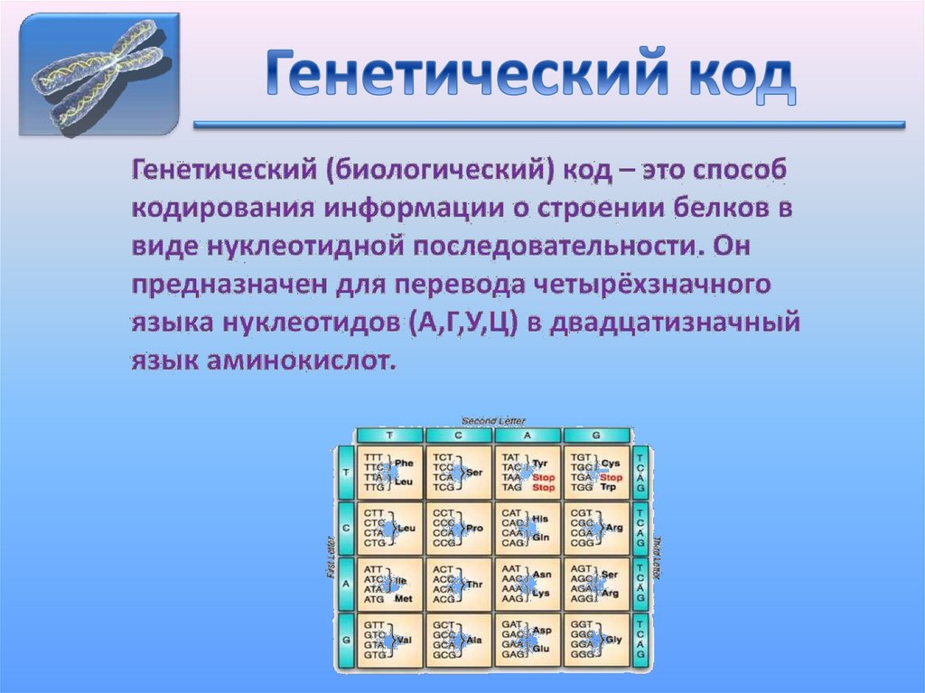 Генетический код