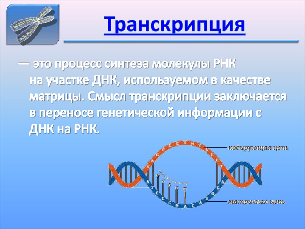 Транскрипция
