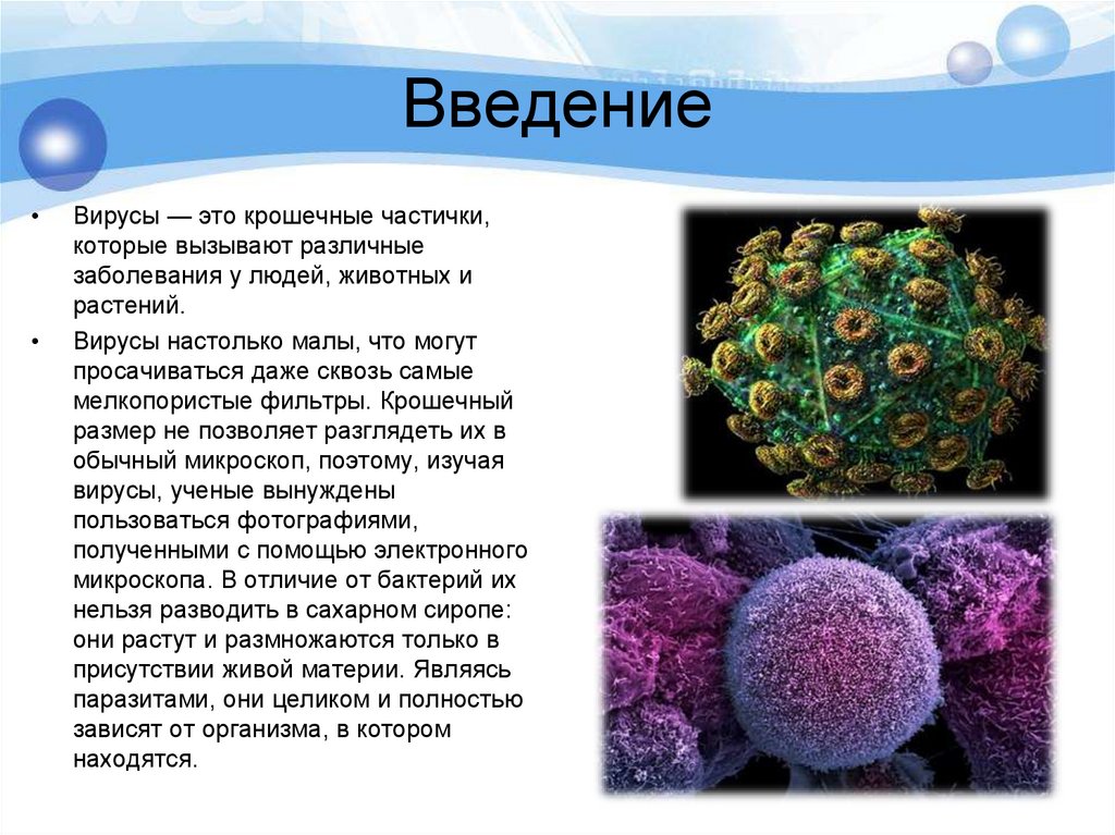 Жизнь без вирусов. Вирусы неклеточные формы жизни. Неклеточные структуры клетки. Процессы жизни вирусов 5 класс. Какое значение вирусы имеют в природе и жизни человека.