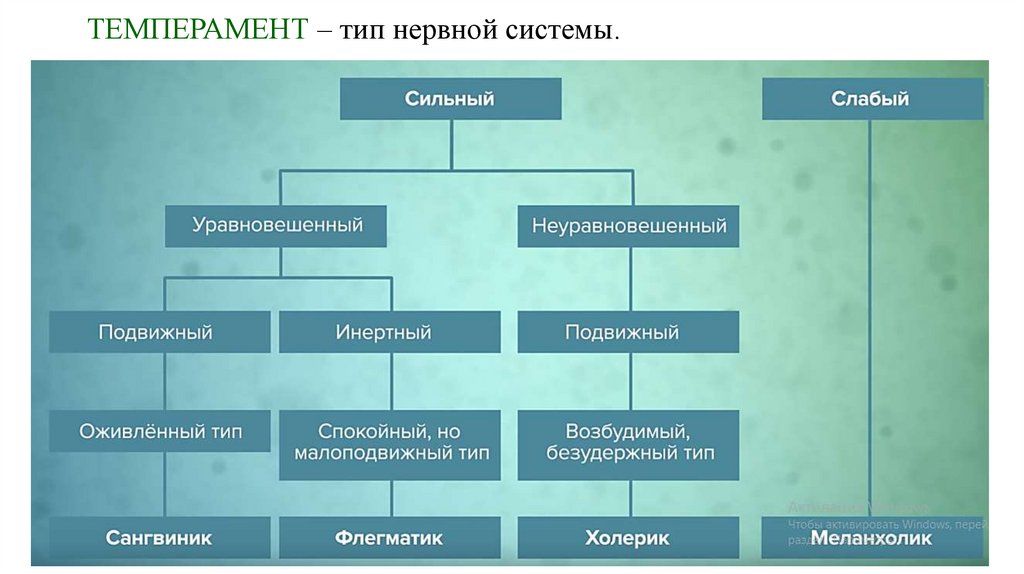 Темперамент - презентация онлайн