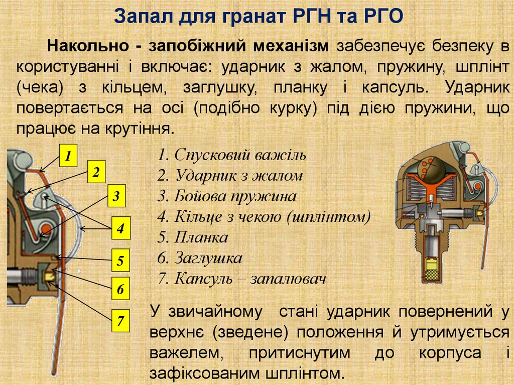 Запал рго. Запал РГН. Запал УДЗ. РГО без запала. Выписка из РГН.