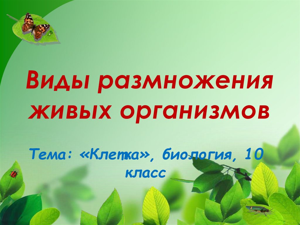 Проекты по биологии 11 класс. Симбиоз это биология 11 класс. Симбионты это в биологии 10 класс.