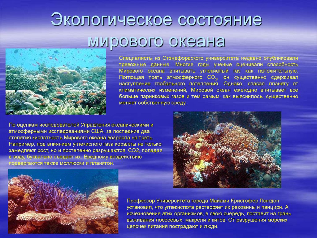Большая часть организмов в мировом океане сосредоточены. Экологическое состояние мирового океана. Мировой океан презентация. Мировой океан доклад. Презентация на тему мировой океан.