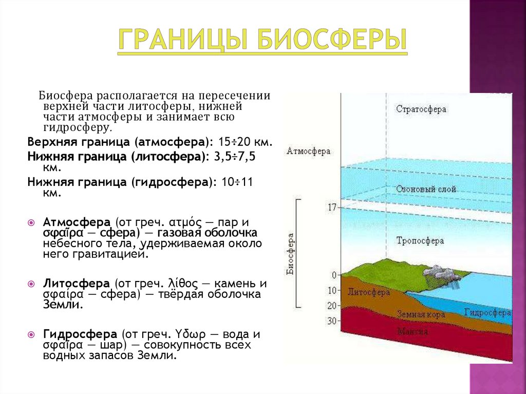 Какая нижняя граница биосферы. Биосфера границы биосферы. Верхняя граница биосферы.