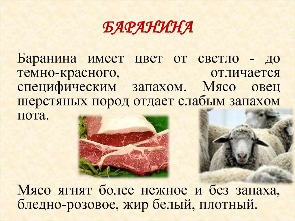 Как отличить свинину. Мясо барашка. Характеристика мяса баранины. Описание мяса баранины.