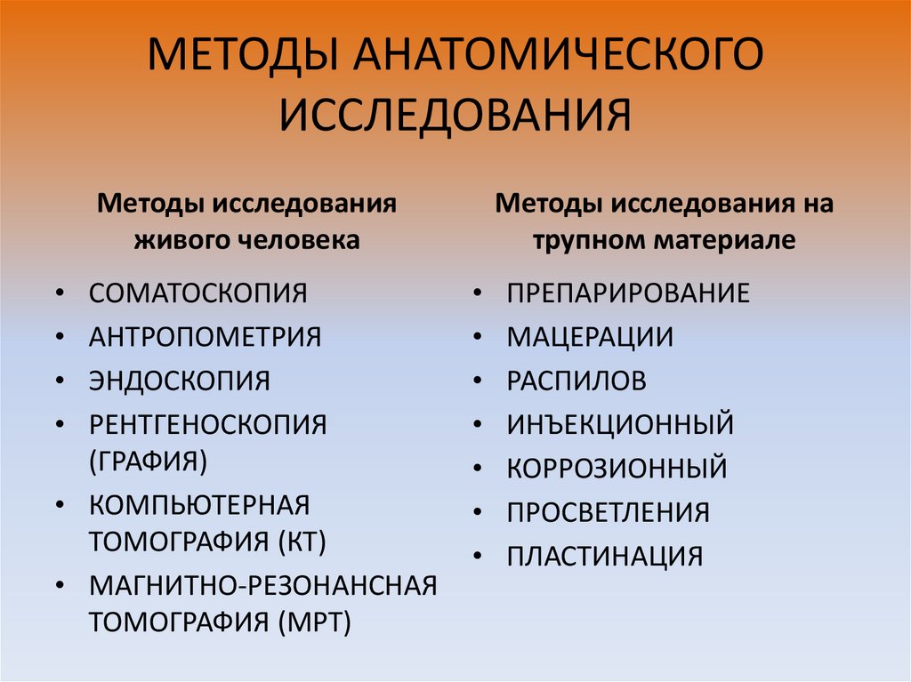 Методы анатомии