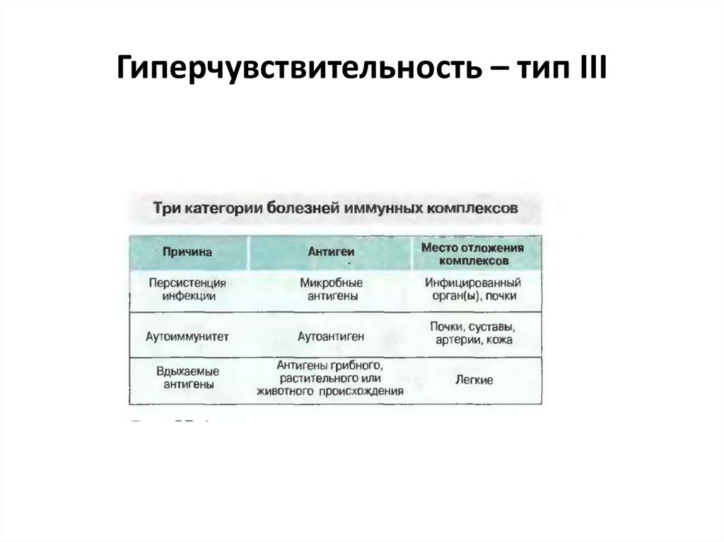 Гиперчувствительность - презентация онлайн