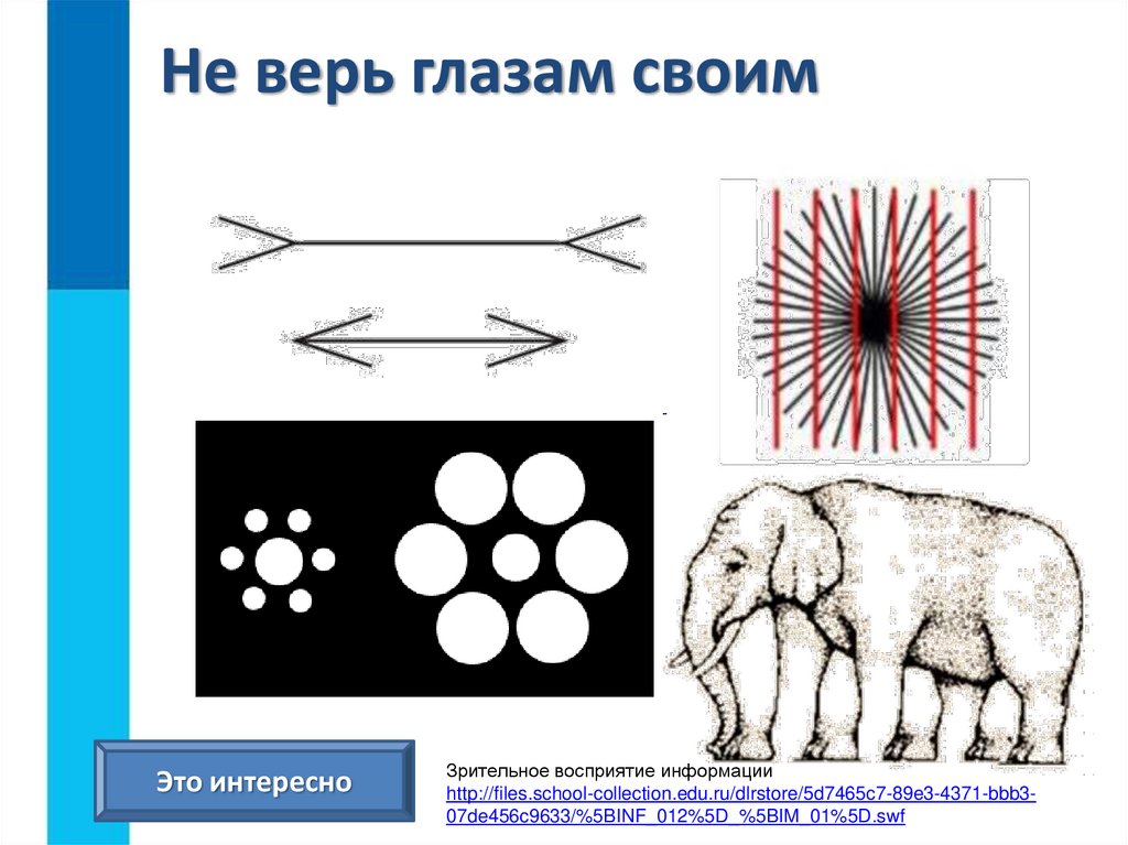 Картинка не верь своим глазам