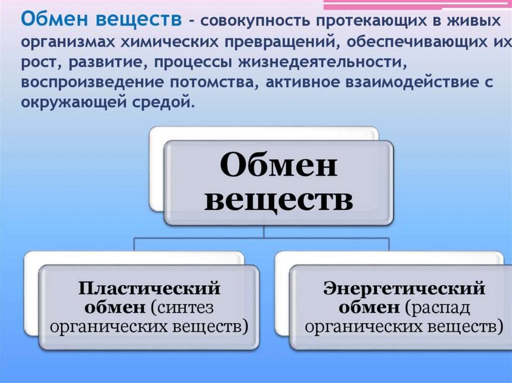 На фотографии домашняя лошадь какое общее свойство живых систем иллюстрирует