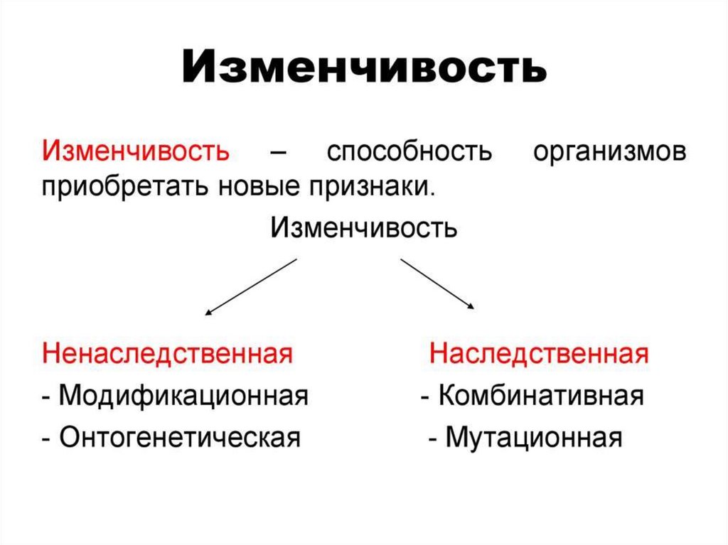 На рисунке изображены стрекозы в разный период онтогенеза какое свойство живых систем иллюстрирует