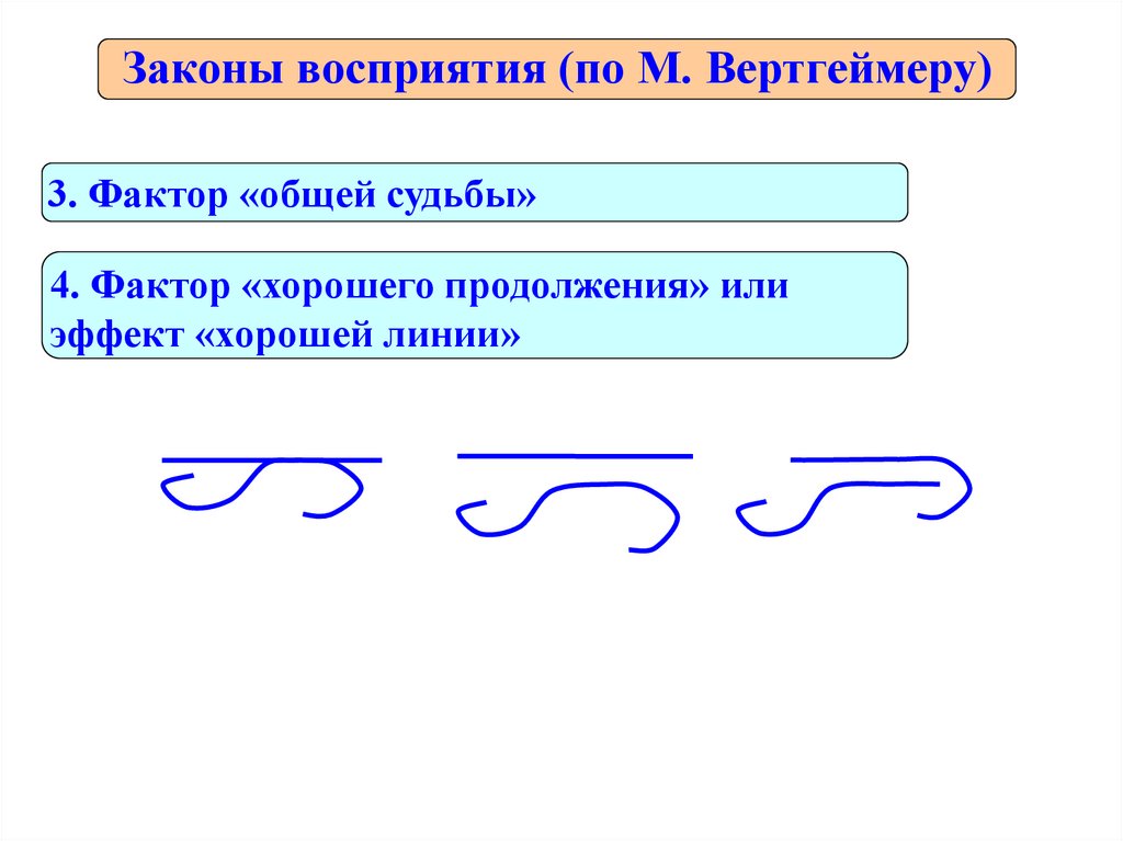 Законы восприятия. Законы восприятия по Вертгеймеру. Закон хорошего продолжения. Фактор общей судьбы. Фактор общей судьбы в гештальтпсихологии.