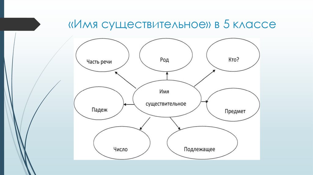 «Имя существительное» в 5 классе