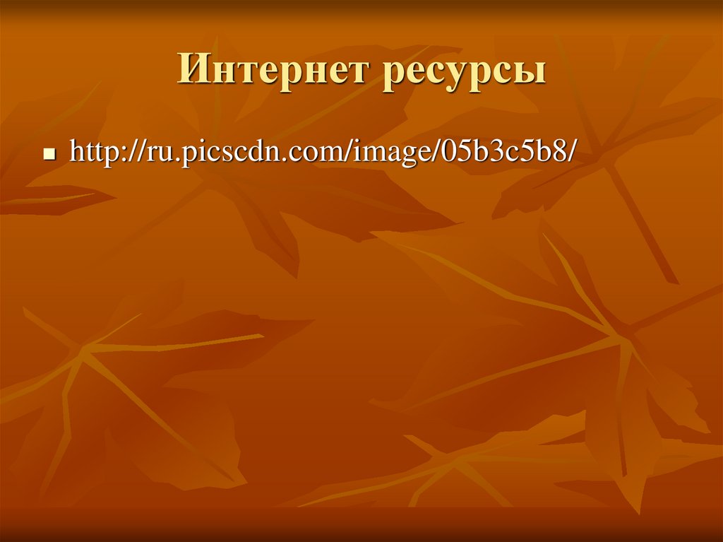 Интернет ресурсы