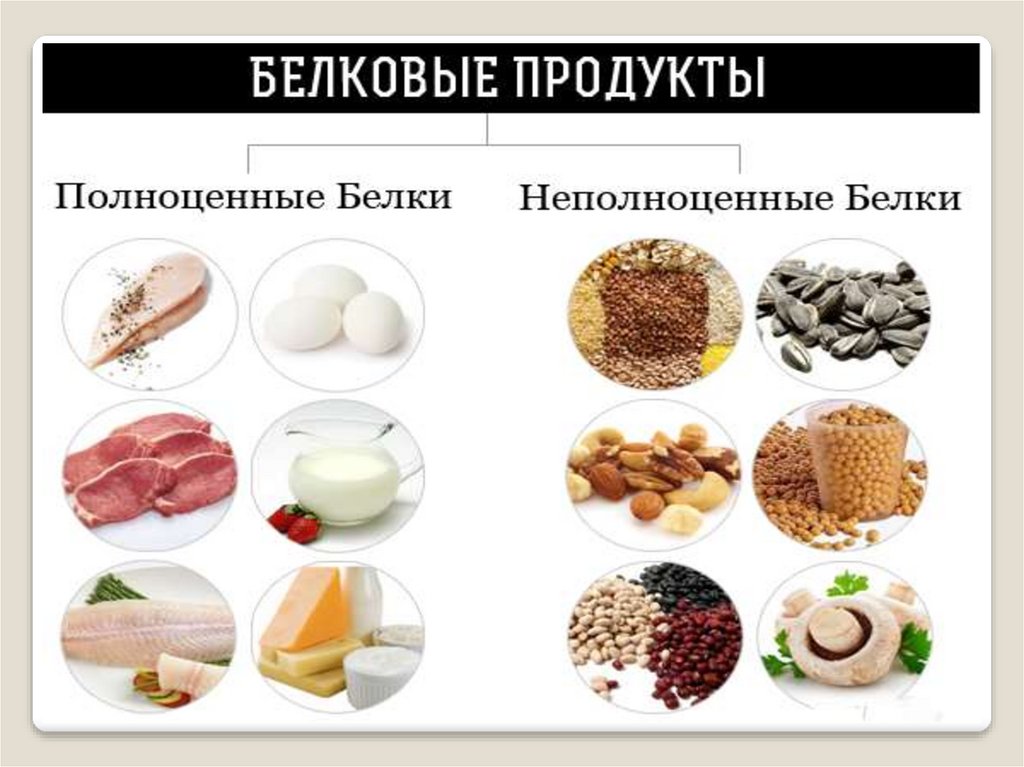 Продукты относящиеся к белковой пище