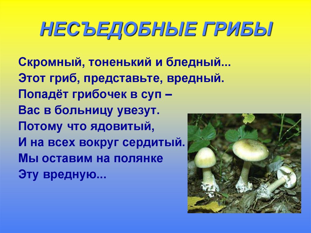 Несъедобный как пишется. Несъедобные грибы презентация. Грибы: съедобные и несъедобные. Съедобные грибы презентация. Презентация на тему ядовитые грибы.