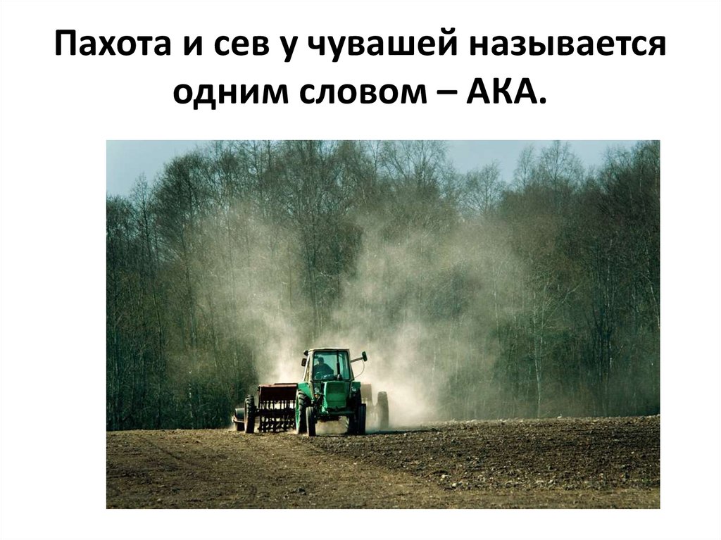 Пахота и сев у чувашей называется одним словом – АКА.