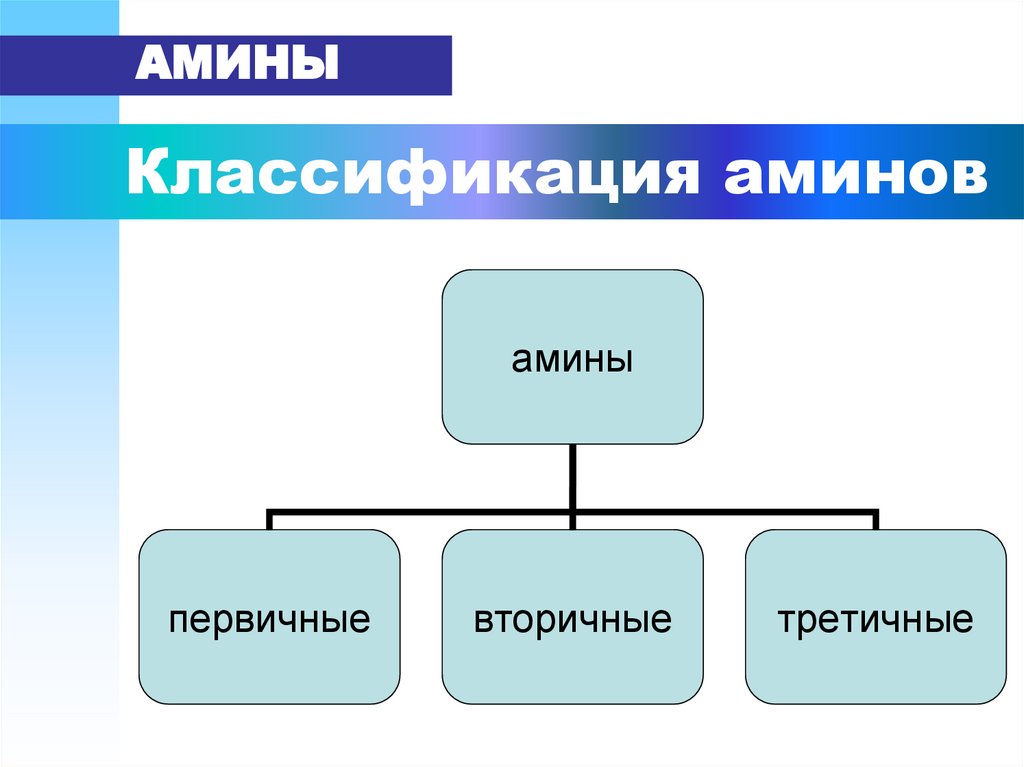 Классификация аминов