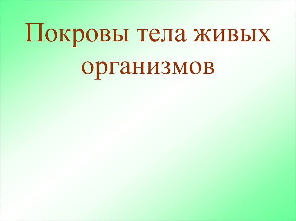Покровы тела живых организмов - online presentation