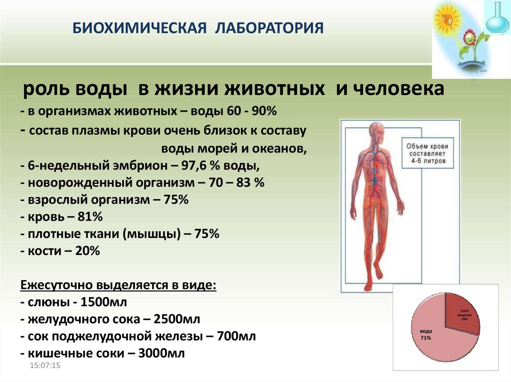 Биохимическая карта человека