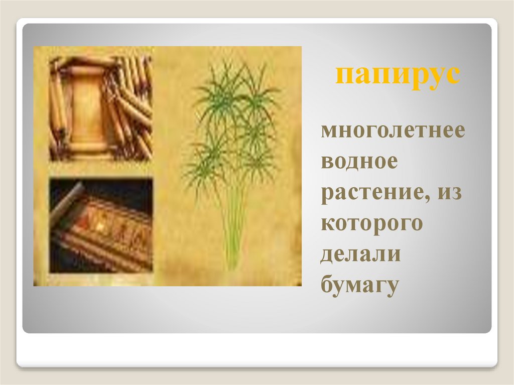 Древнеегипетское государство. Повторяем основные термины. Тема 11 ...