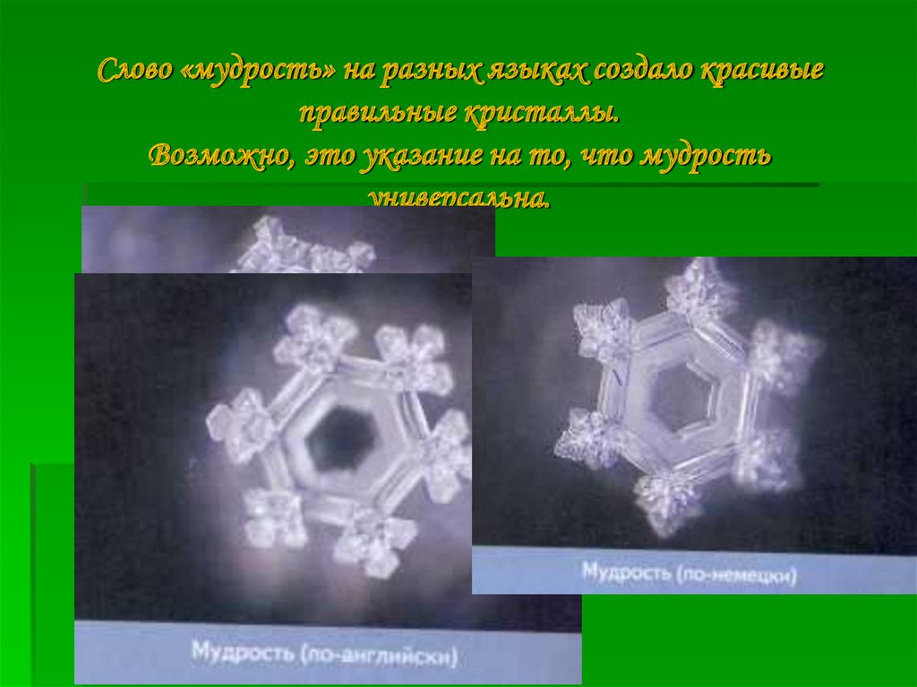Слово «мудрость» на разных языках создало красивые правильные кристаллы. Возможно, это указание на то, что мудрость