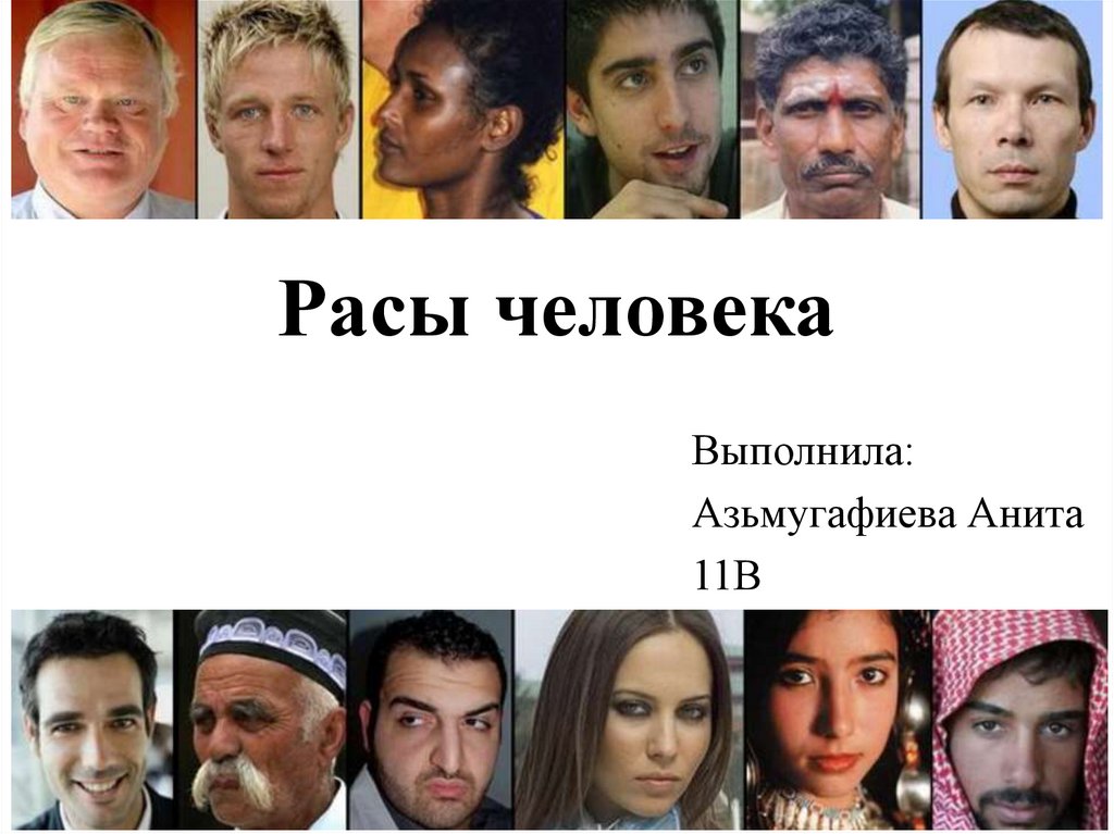 Расы людей. Человеческие расы. 5 Рас человека. Расы людей в России.
