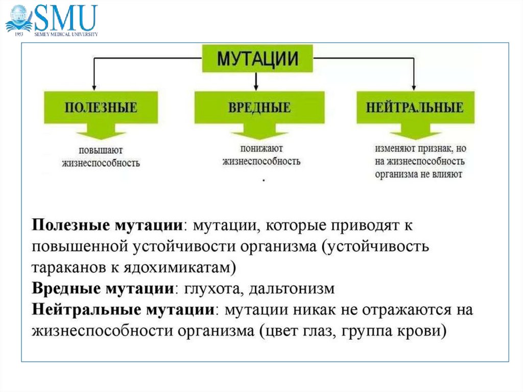 Вредно нейтральные примеры