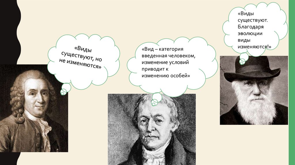 Вид и его критерии. Что такое вид? - online presentation