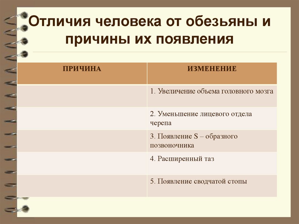 Новая система органического мира презентация 10 класс