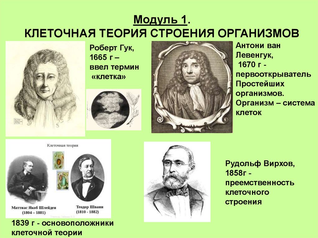 Клеточная теория строения организмов история и современное состояние проект