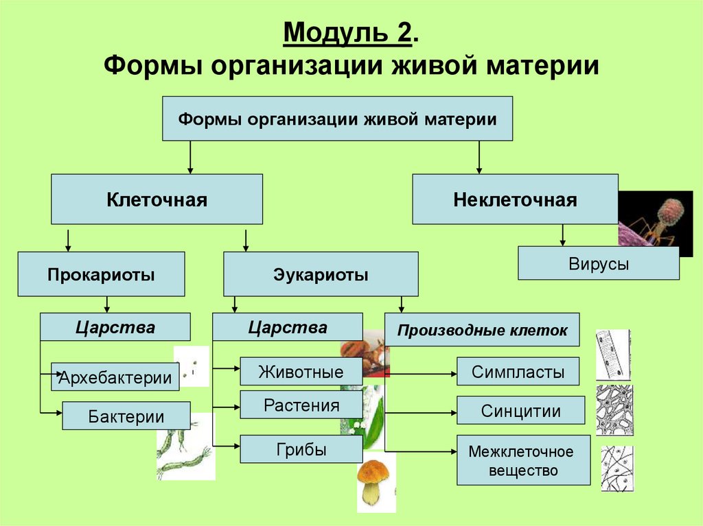 Наличие живых