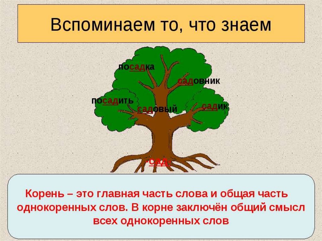 Аккуратно однокоренные. Дерево с однокоренными словами. Много однокоренных слов. Дерево родственных слов. Однокоренные слова картинки.