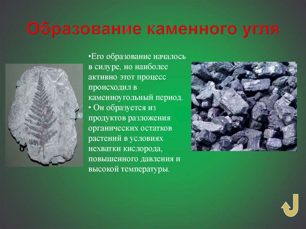 Формирование залежей каменного угля возникновение первых рептилий. Образование каменного угля. Как образовался каменный уголь. Каменный уголь образовался из. Каменный уголь из чего образуется.