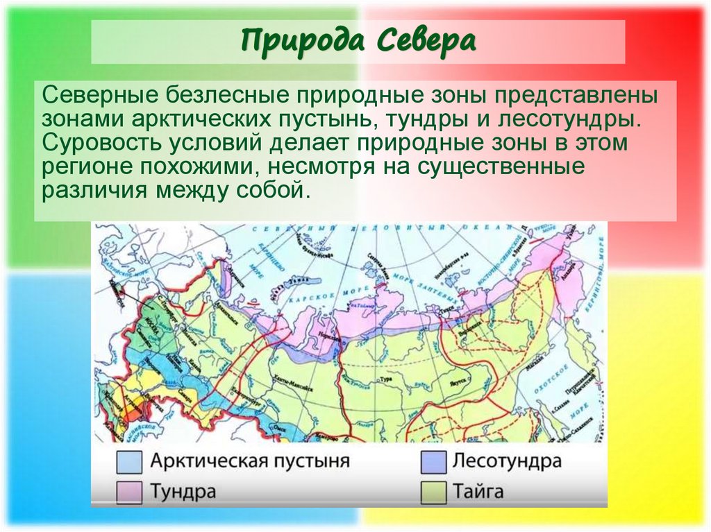 Характеристика тундры в россии